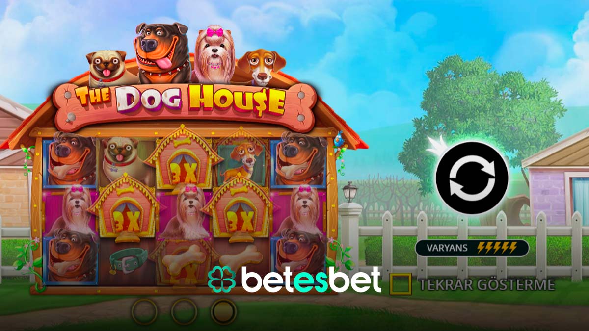 Betesbet The Dog House